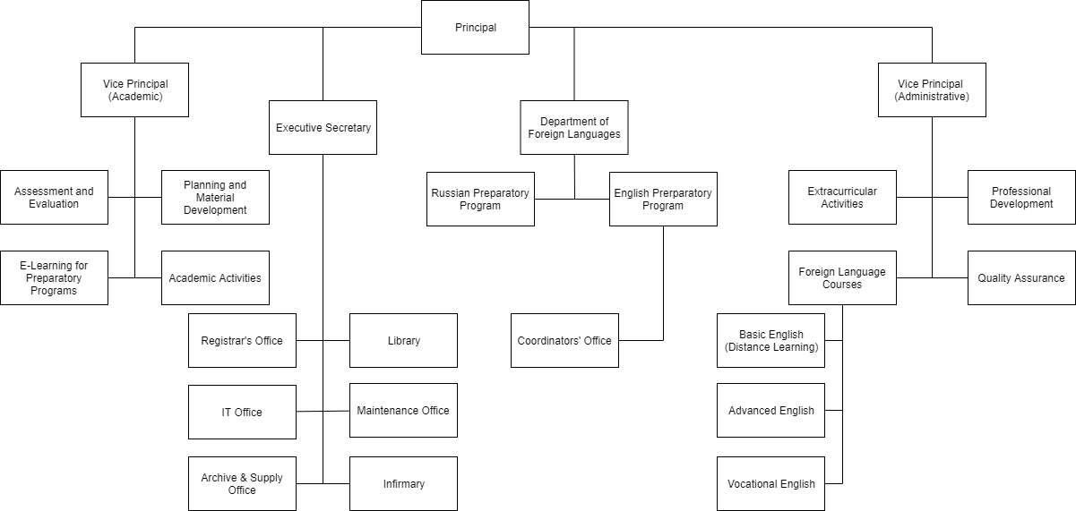 Organisational Structure